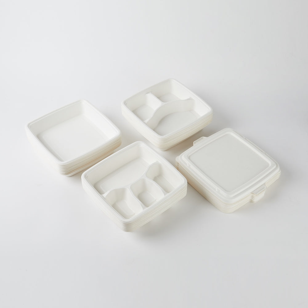 Customized Disposable Tray (Bagasse)