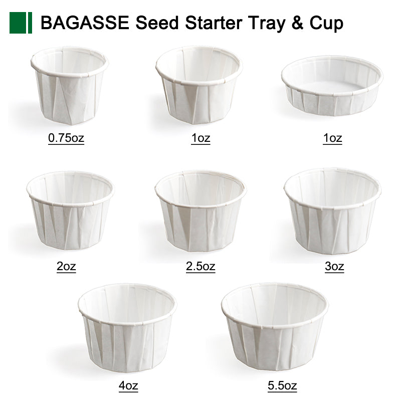 Customized Disposable Cupcake Baking Cups