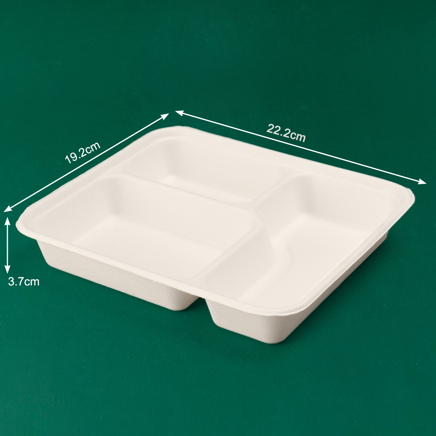 Customized Disposable Tray (Bagasse)