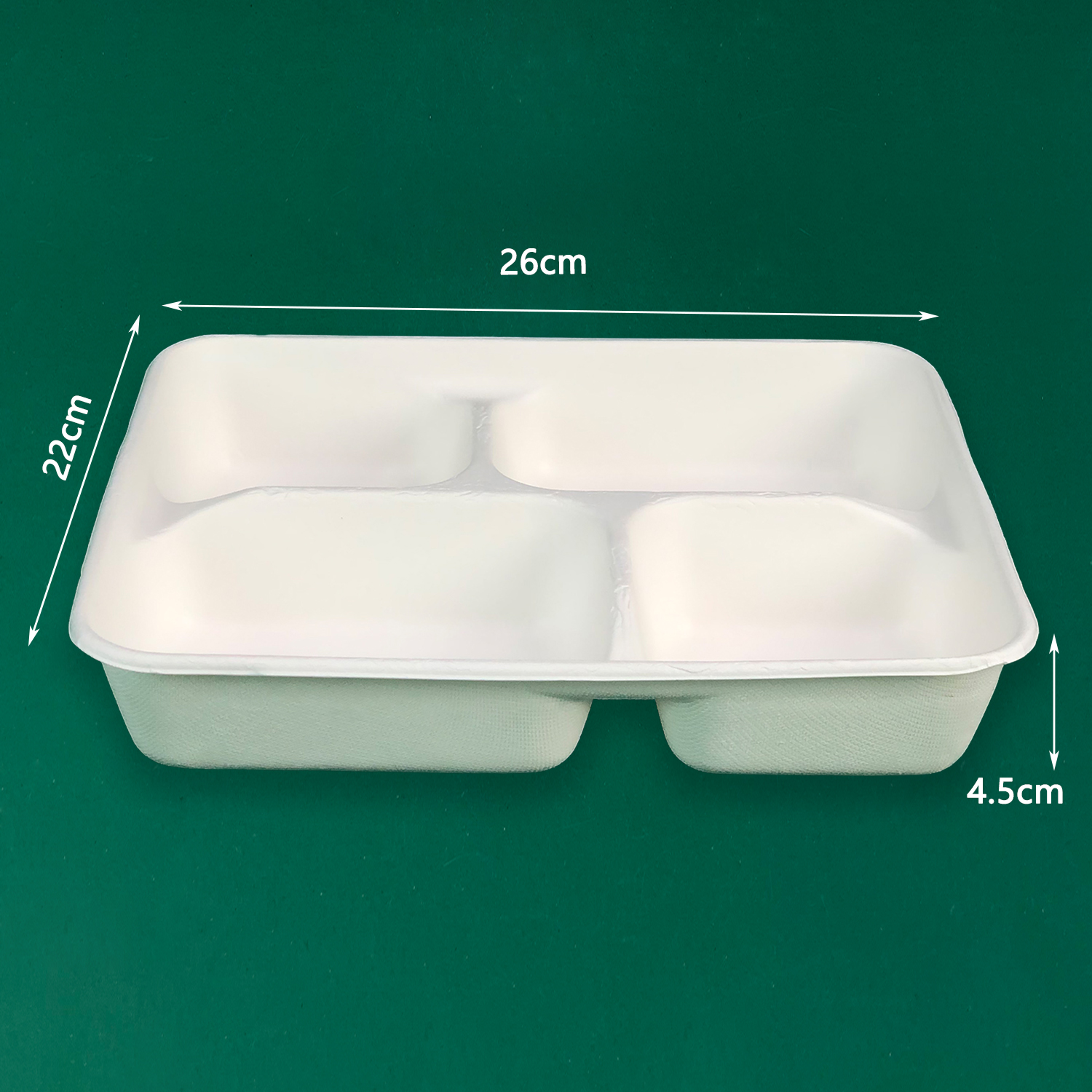 Customized Disposable Tray (Bagasse)