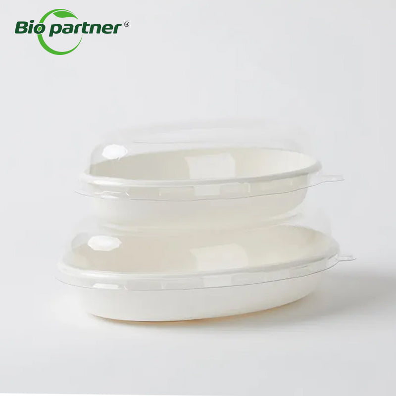 Customized Disposable Tray (Bagasse)