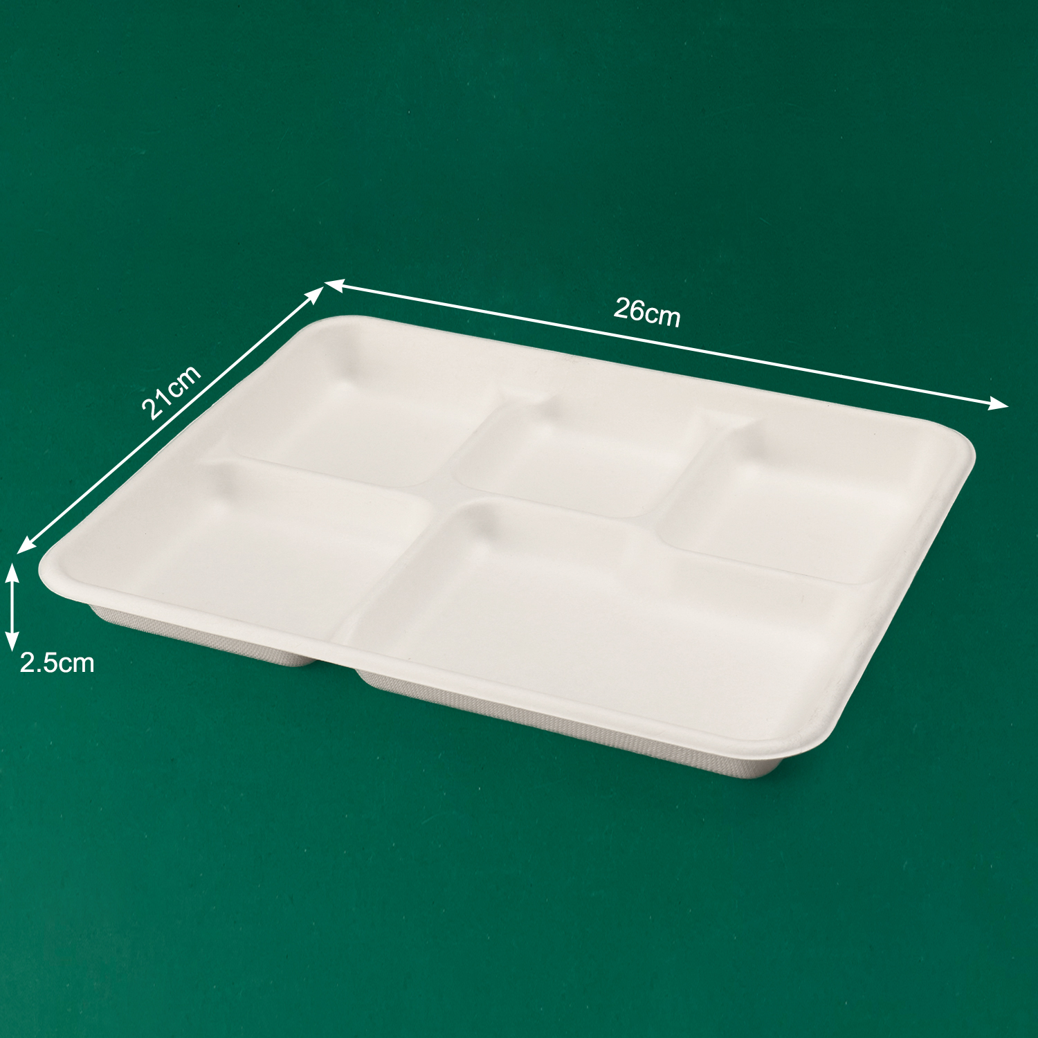 Customized Disposable Tray (Bagasse)