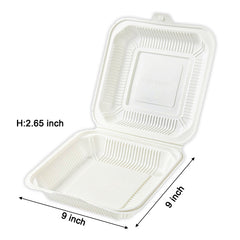 Disposable 6 inch Round Plate (corn starch made)
