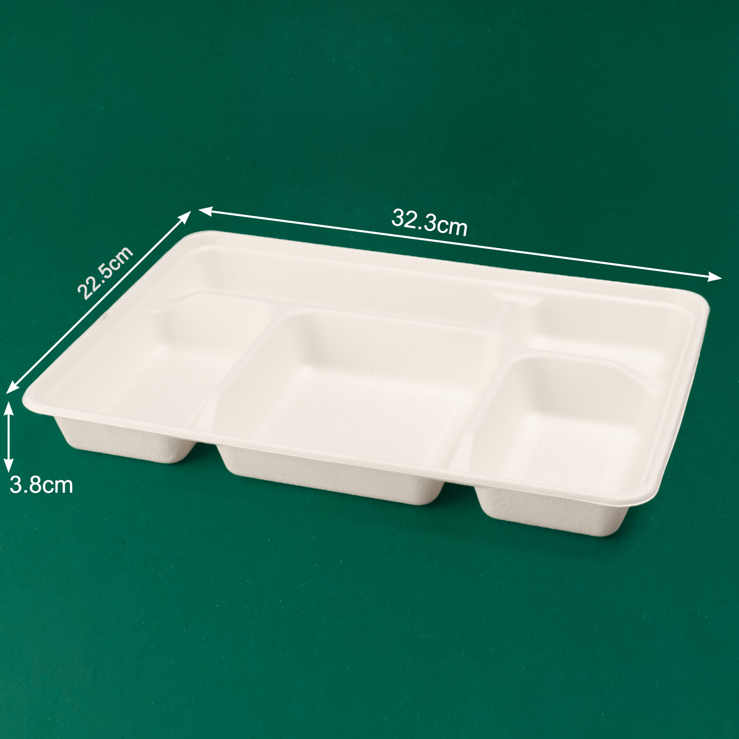 Customized Disposable Tray (Bagasse)